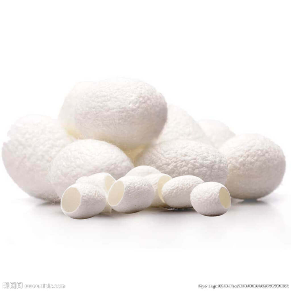 Cocoon Drying Process